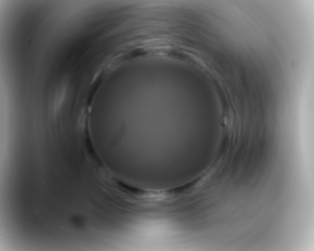 X0000088470767200706051342