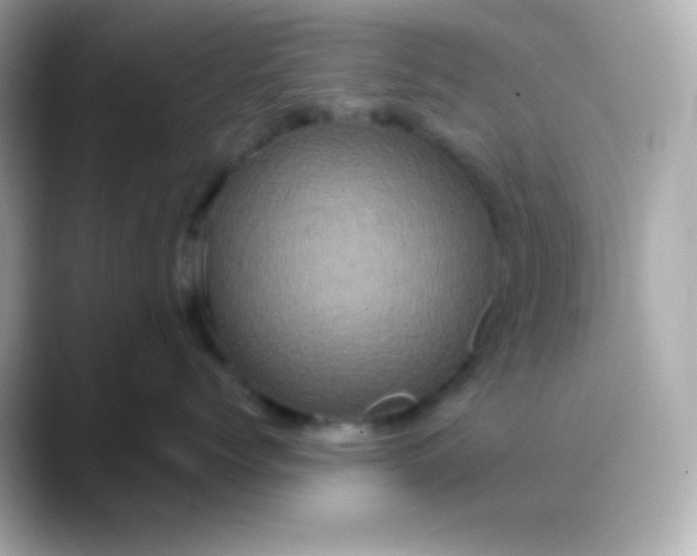 X0000088470768200706051342