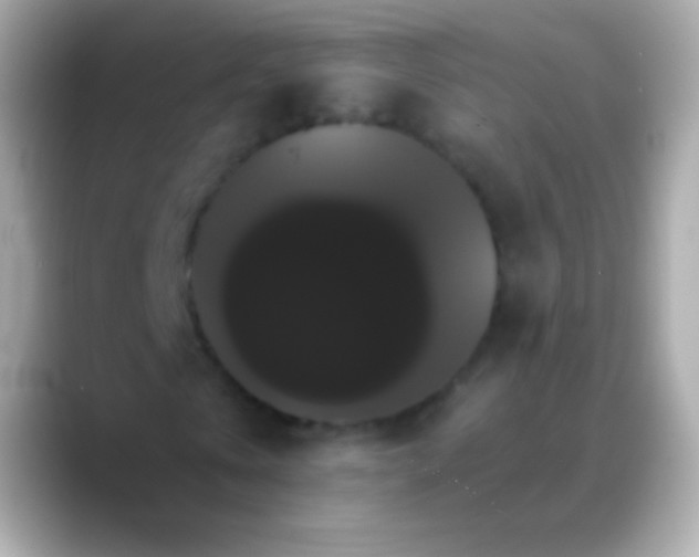 X0000088470769200706051342