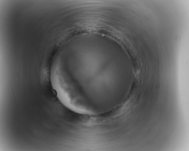 X0000088470772200706051342