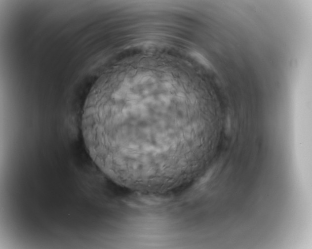 X0000088470774200706051342