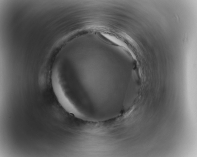 X0000088470775200706051342