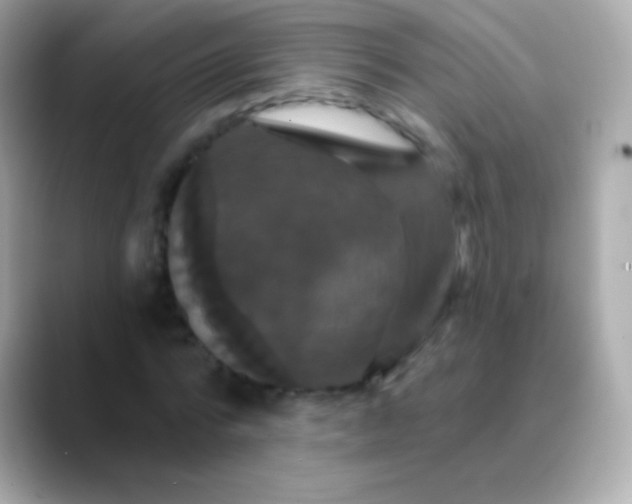 X0000088470776200706051341