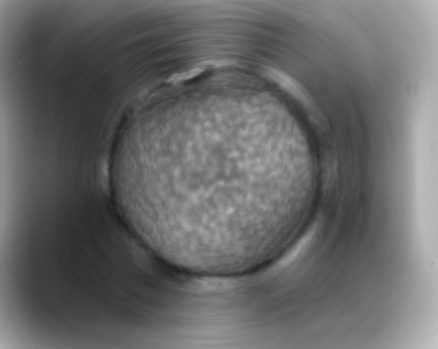 X0000088470777200706051341