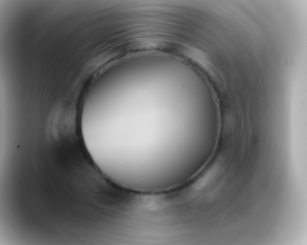 X0000088470778200706051341