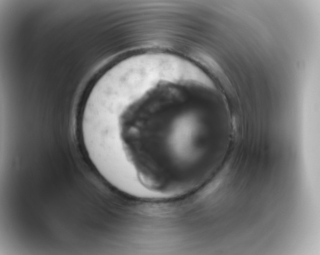 X0000088470780200706051341