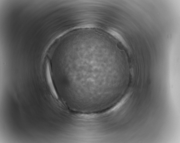 X0000088470781200706051341