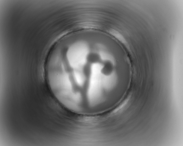 X0000088470782200706051341