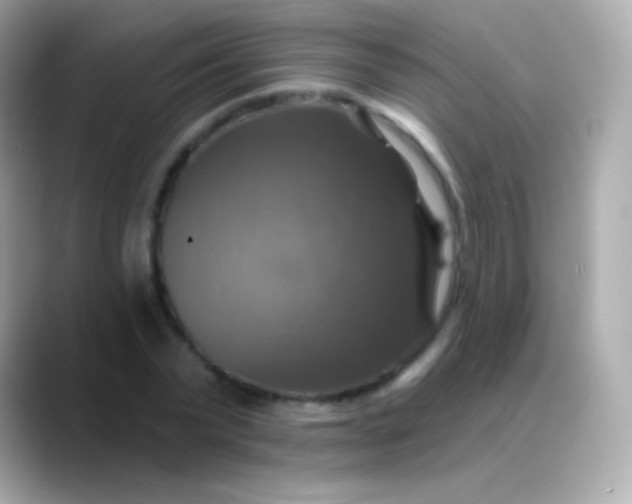 X0000088470783200706051341