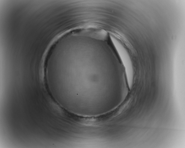 X0000088470784200706051341