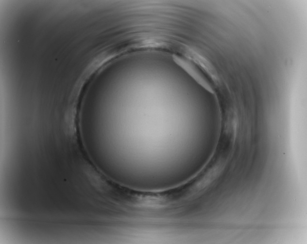 X0000088470786200706051341