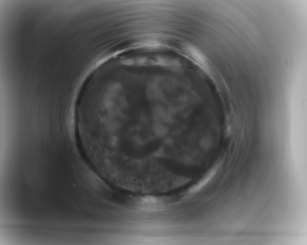 X0000088470787200706051341