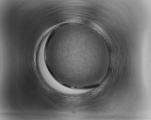 X0000088470788200706051341