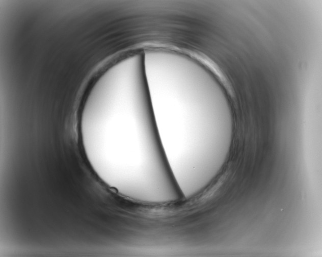 X0000088470791200706051341