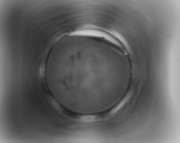 X0000088470793200706051341