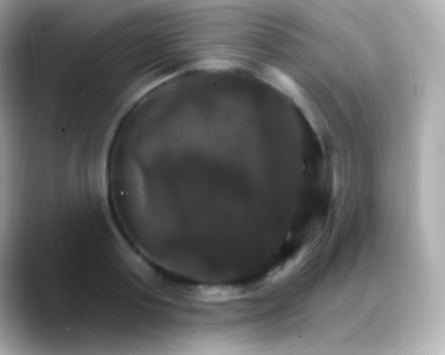 X0000088470795200706051341