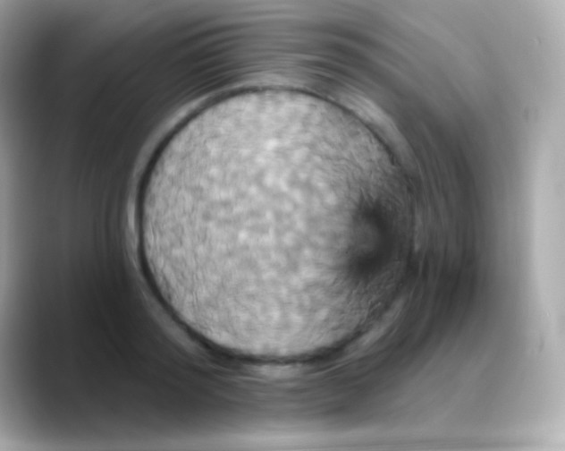 X0000088470796200706051341