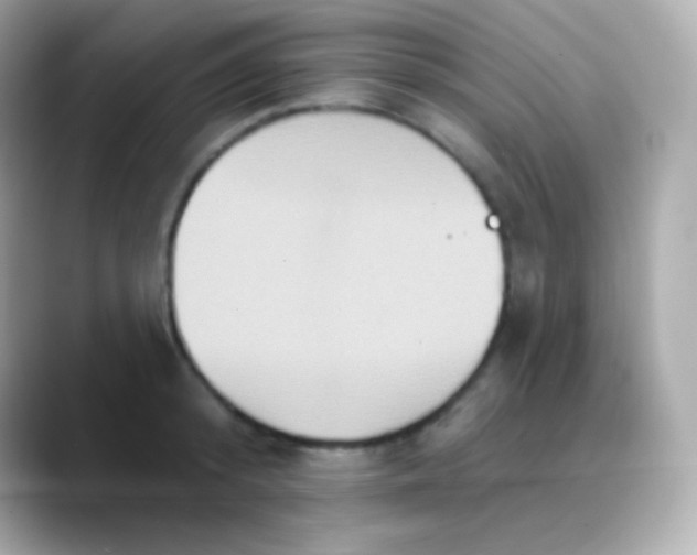 X0000088470800200706051341