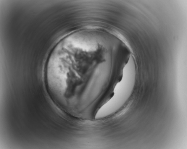 X0000088470803200706051341