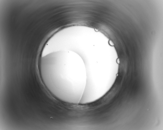 X0000088470804200706051341