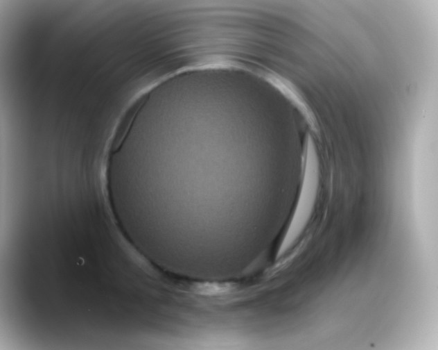 X0000088470805200706051341