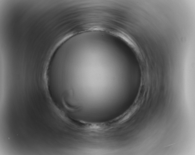 X0000088470806200706051341