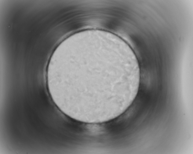 X0000088470807200706051341