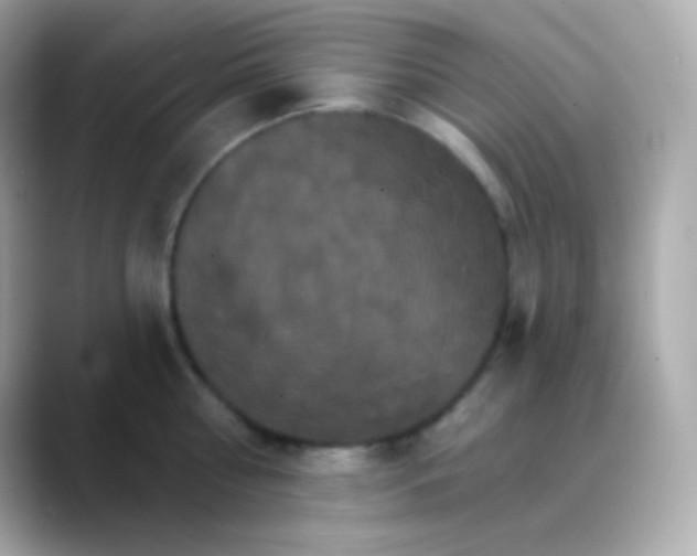 X0000088470810200706051341