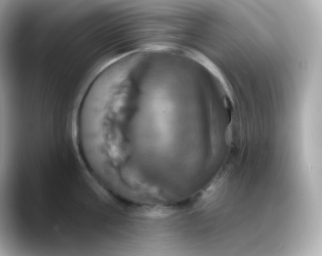 X0000088470811200706051341