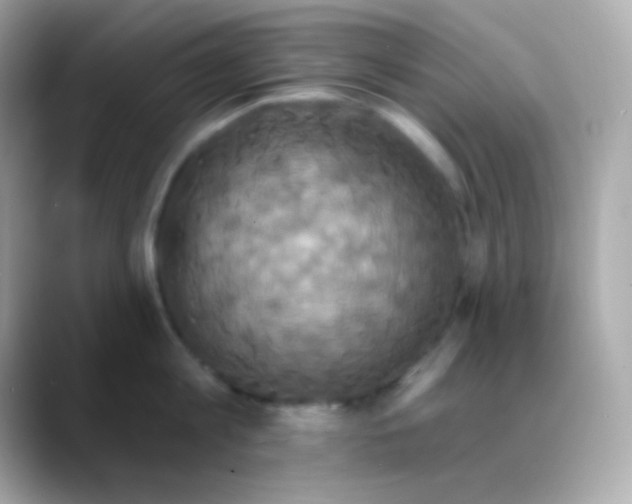 X0000088470813200706051341