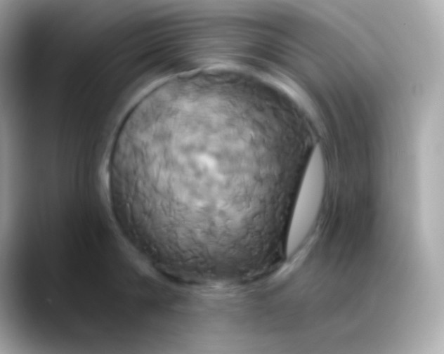 X0000088470814200706051341