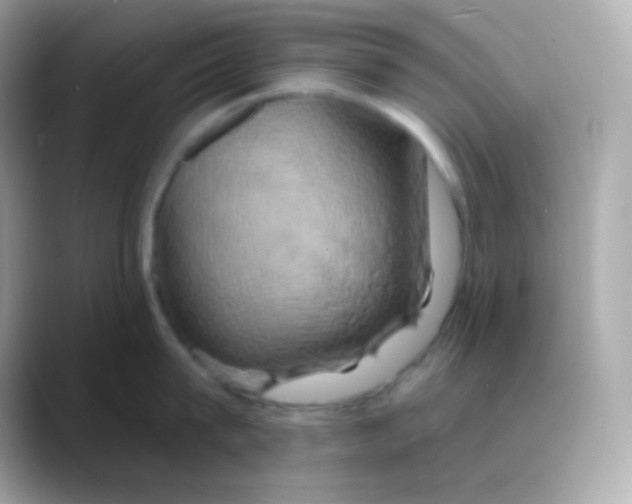 X0000088470815200706051341