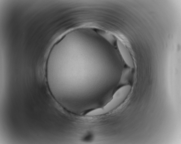 X0000088470816200706051341