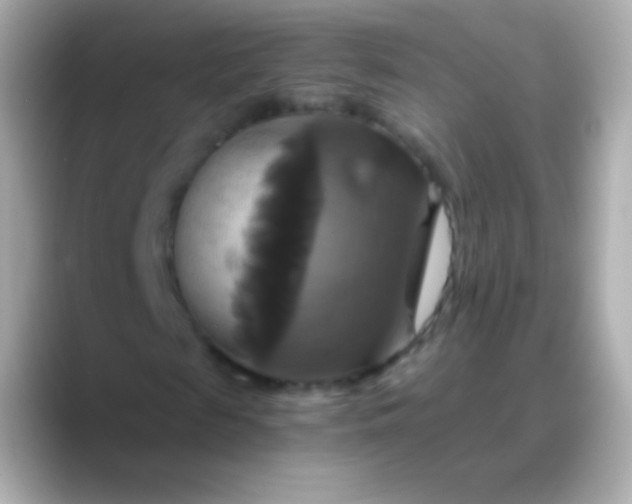 X0000088470817200706051340