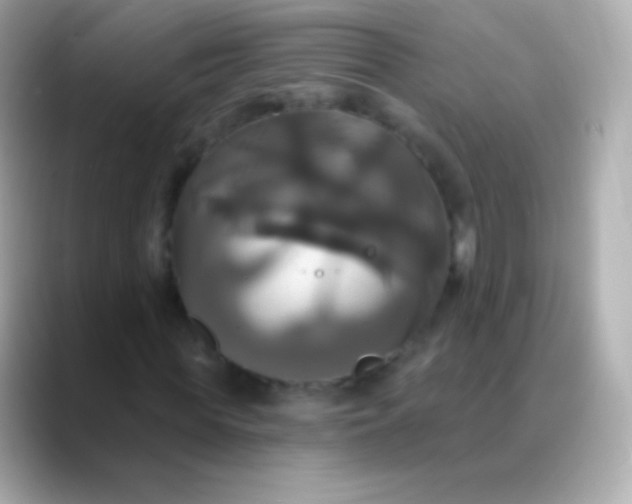 X0000088470819200706051340