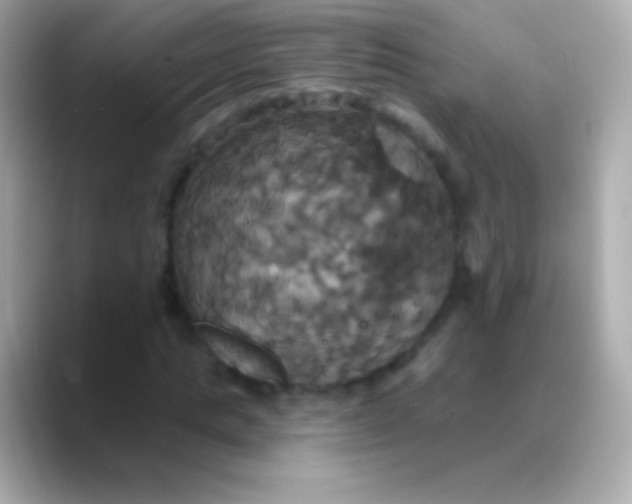 X0000088470821200706051341