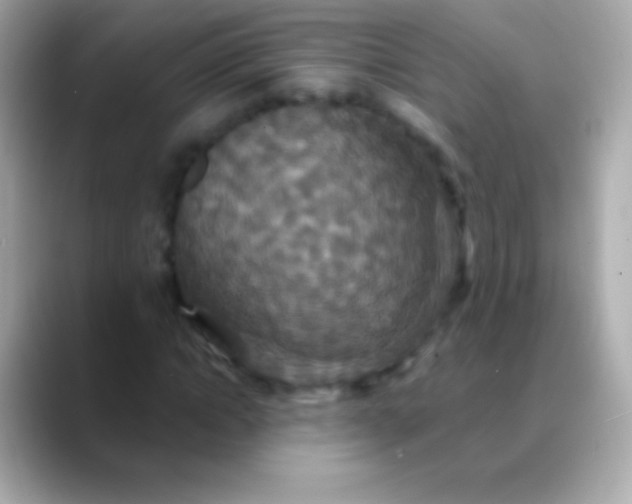 X0000088470822200706051341