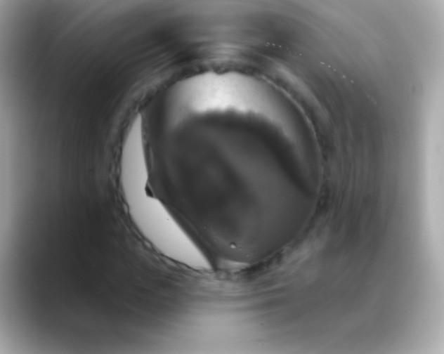 X0000088470823200706051341