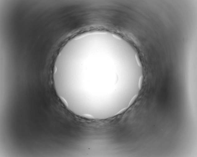 X0000088470824200706051341