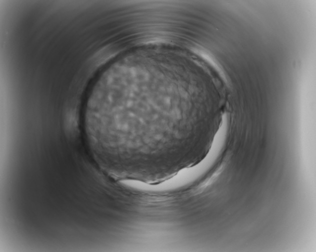 X0000088470826200706051341