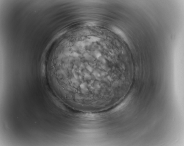 X0000088470827200706051341