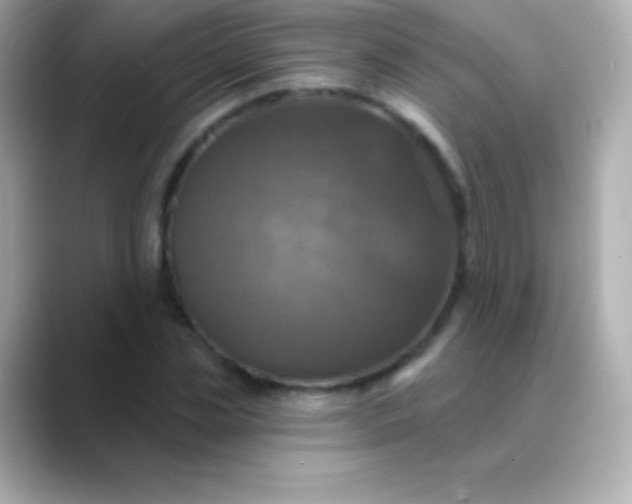 X0000088470829200706051341