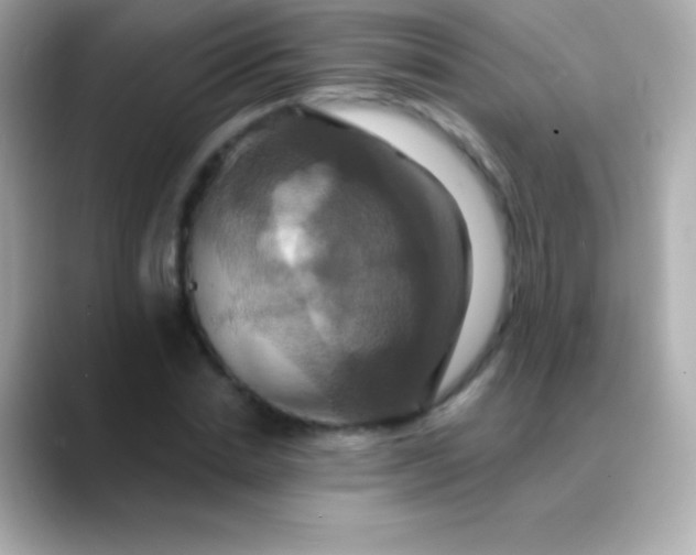 X0000088470830200706051341