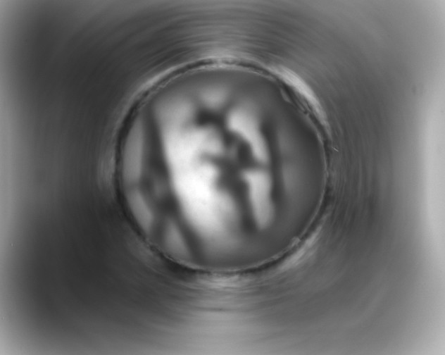 X0000088470831200706051341