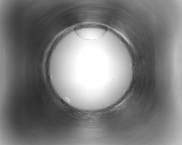 X0000088470832200706051341