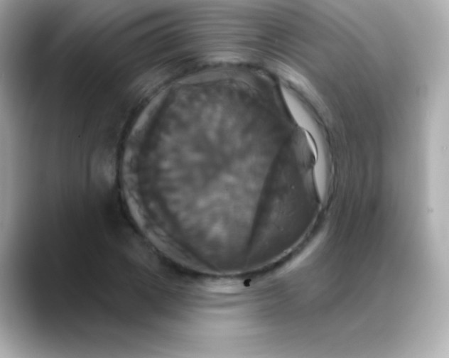 X0000088470833200706051341