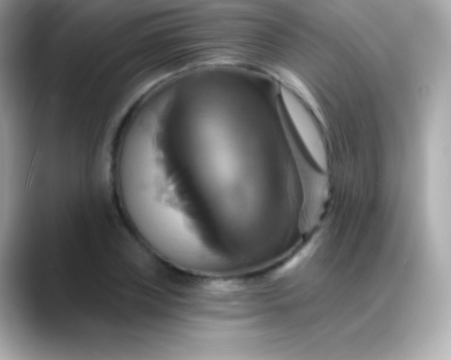 X0000088470835200706051341