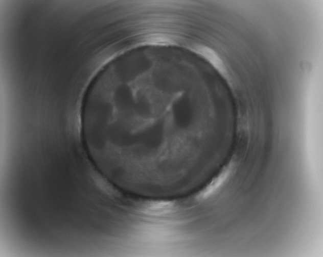 X0000088470837200706051341