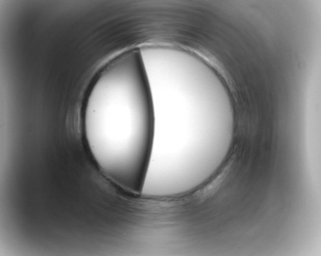 X0000088470838200706051341