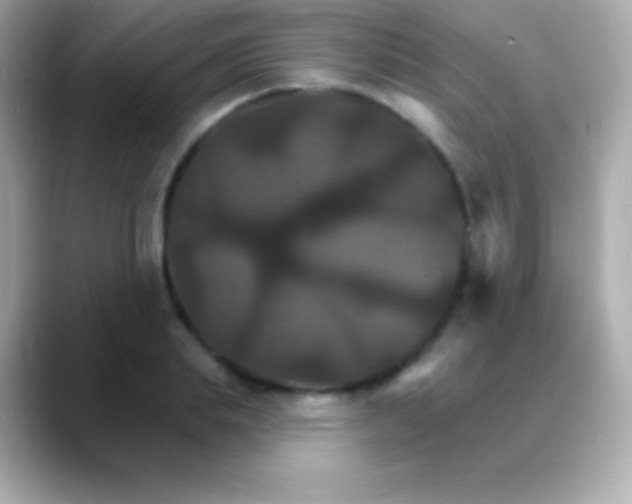 X0000088470839200706051341